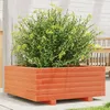Image de vidaXL Jardinière cire marron 60x60x265 cm bois de pin massif jardinière dextérieur bac à fleurs boîte à plantes 847300