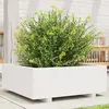 Image de Jardinière Blanc 70x70x26,5 Cm Bois De Pin Massif Vidaxl
