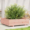 Image de Jardinière 90x90x26,5 Cm Bois Massif Douglas Vidaxl