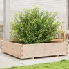 Image de Jardinière 100x100x26,5 Cm Bois De Pin Massif Vidaxl