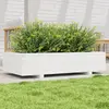 Image de Jardinière Blanc 110x60x26,5 Cm Bois De Pin Massif Vidaxl
