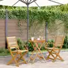 Image de Ensemble De Bistro 3 Pcs Beige Polypropylène Et Bois Massif Vidaxl