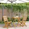 Image de Ensemble De Bistro 3 Pcs Beige Polypropylène Et Bois Massif Vidaxl