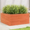 Image de Jardinière Cire Marron 100x100x46 Cm Bois De Pin Massif Vidaxl