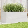 Image de Jardinière Blanc 110x60x46 Cm Bois De Pin Massif Vidaxl