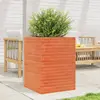Image de Jardinière Cire Marron 50x50x68,5 Cm Bois De Pin Massif Vidaxl