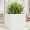 Image de Jardinière blanc 80x80x68,5 cm bois de pin massif
