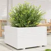 Image de Jardinière Blanc 80x80x49,5 Cm Bois De Pin Massif Vidaxl