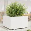 Image de Jardinière blanc 80x80x49,5 cm bois de pin massif