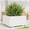 Image de Jardinière blanc 90x90x49,5 cm bois de pin massif