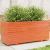 Image de Jardinière Cire Marron 110x40x49,5 Cm Bois De Pin Massif Vidaxl
