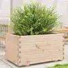 Image de Jardinière 90x60x49,5 Cm Bois De Pin Massif Vidaxl