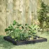 Image de Lit Surélevé De Jardin Anthracite 100x100x18,5 Cm Acier Vidaxl
