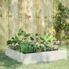 Image de Lit Surélevé De Jardin Blanc 100x100x33,5 Cm Acier Vidaxl