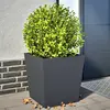 Image de Jardinières 2 Pcs Anthracite 50x50x50 Cm Acier Vidaxl