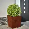 Image de Jardinières 2 Pcs 50x50x50 Cm Acier Résistant Aux Intempéries Vidaxl