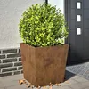 Image de vidaXL Jardinières 2 pcs 50x50x50 cm acier corten jardinière dextérieur boîte à fleurs boîte de jardin jardinière de 851079