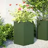 Image de Jardinières 2 Pcs Vert Olive Hexagone 46x40x45 Cm Acier Vidaxl