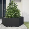 Image de vidaXL Jardinière noir hexagone 138x120x45 cm acier 851136