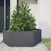 Image de vidaXL Jardinière anthracite hexagone 138x120x45 cm acier 851138