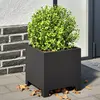 Image de Jardinières 2 Pcs Noir 30x30x30 Cm Acier Vidaxl