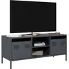 Image de Meuble Tv Anthracite 101,5x39x43,5 Cm Acier Laminé À Froid Vidaxl