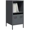 Image de Buffet Anthracite 35x39x73,5 Cm Acier Laminé À Froid Vidaxl