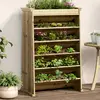 Image de Jardinière De Plantes Aromatiques 6 Niveaux Bois Pin Imprégné Vidaxl