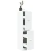 Image de vidaXL Armoire dapothicaire blanc 30x41x1445 cm bois dingénierie coffre dapothicaire meuble dapothicaire coffre à 855169
