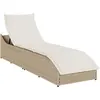 Image de Chaise Longue Pliante Coussin Et Rangement Beige Résine Tressée Vidaxl
