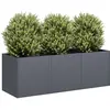 Image de Jardinière Anthracite 120x40x40 Cm Acier Laminé À Froid Vidaxl