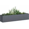 Image de Jardinière Anthracite 200x40x40 Cm Acier Laminé À Froid Vidaxl