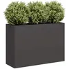 Image de Jardinière Noir 120x40x80 Cm Acier Laminé À Froid Vidaxl