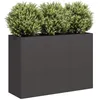 Image de vidaXL Jardinière noir 120x40x80 cm acier laminé à froid pot de fleurs support de plantes lit surélevé support de 860717