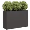Image de Jardinière noir 120x40x80 cm acier laminé à froid