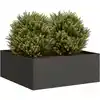Image de Jardinière Noir 80x80x30 Cm Acier Vidaxl