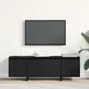 Image de Meuble Tv Chêne Noir 120 X 30 X 40,5 Cm Bois D'ingénierie Vidaxl