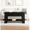 Image de Table Basse Chêne Noir 101 X 49 X 52 Cm Bois D'ingénierie Vidaxl