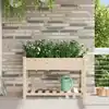 Image de Cache-pot De Jardin Avec Étagère Beige 115 X 59 X 76,5 Cm Vidaxl