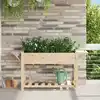 Image de Cache-pot De Jardin Avec Étagère Beige 155 X 59 X 76,5 Cm Vidaxl