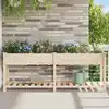 Image de Cache-pot De Jardin Avec Étagère Beige 203,5 X 53 X 76,5 Cm Vidaxl