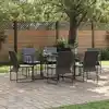 Image de Ensemble De Salle À Manger Pour Jardin 7 Pcs Noir Acier Vidaxl