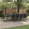 Image de Ensemble De Salle À Manger Pour Jardin 13 Pcs Noir Acier Vidaxl
