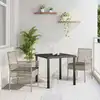 Image de Chaise De Jardin 2 Pcs Gris Clair 55 X 53 X 85 Cm Polyrotin Vidaxl