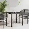 Image de Table De Jardin Noir 80 X 80 X 73 Cm Métal Vidaxl