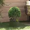 Image de Anneau De Jardinière 5 Pcs Vert Olive 30 X 30 X 20 Cm Vidaxl