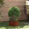 Image de Anneau De Jardinière Marron 30 X 30 X 20 Cm Acier Patiné Vidaxl
