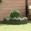 Image de Anneau De Jardinière 5 Pcs Vert Olive 120 X 120 X 20 Cm Vidaxl