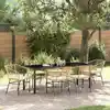 Image de Ensemble De Salle À Manger Pour Jardin 7 Pcs Marron Polyrotin Vidaxl