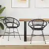 Image de Chaise De Salle À Manger 2 Pcs Rotin Et Métal Noir Vidaxl
